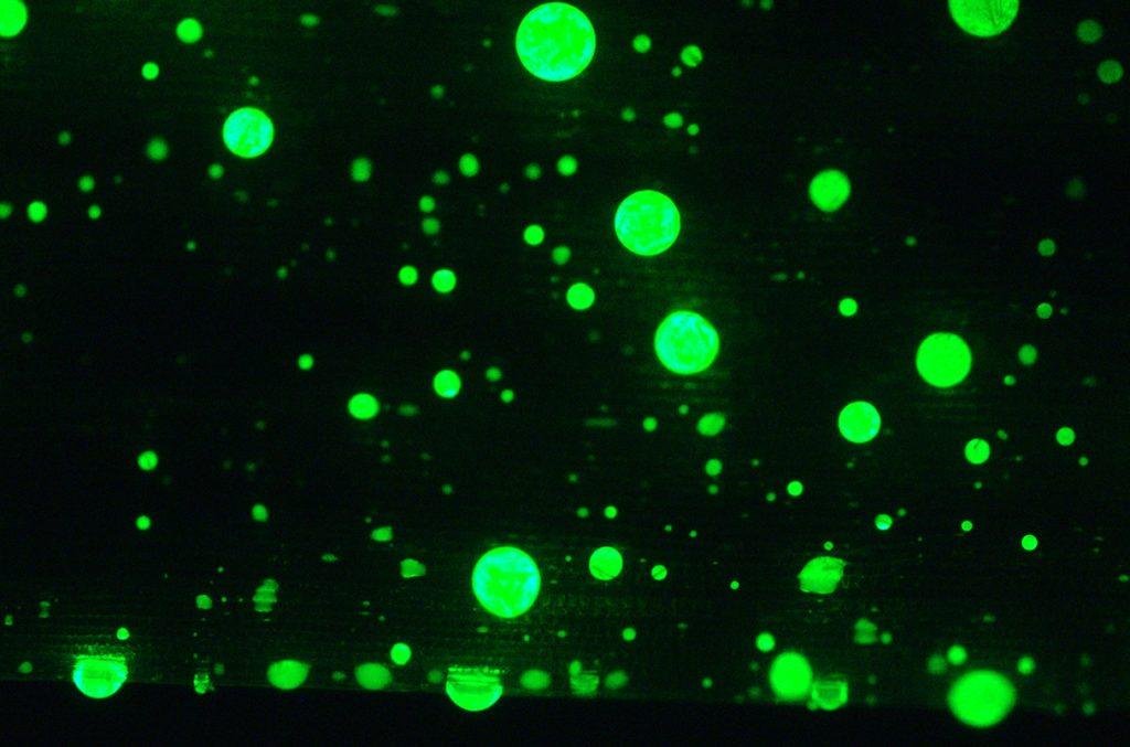 Laser commestibili