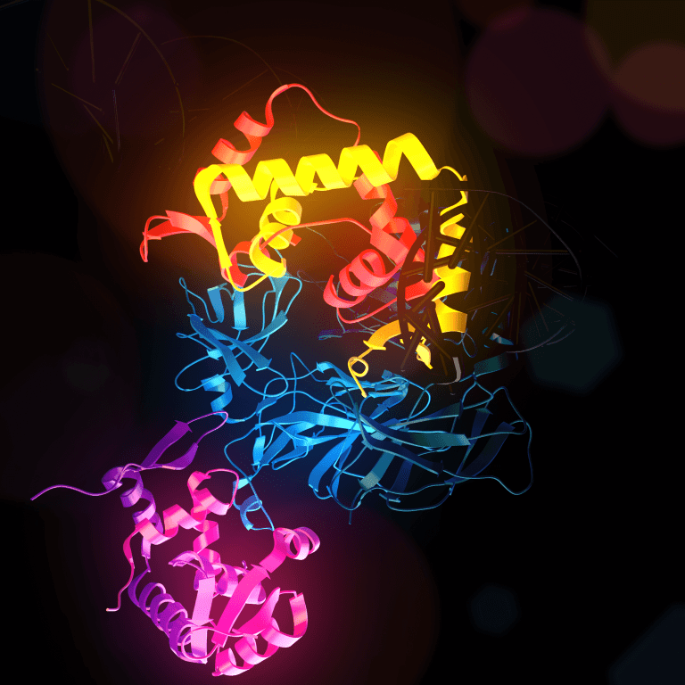 sistema immunitario FOXP3