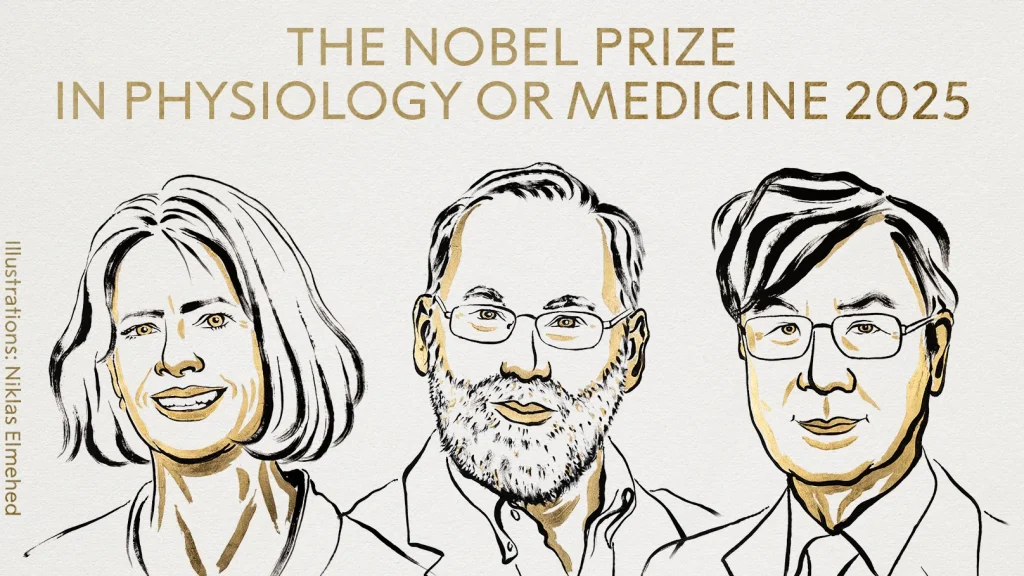 nobel medicina 2025