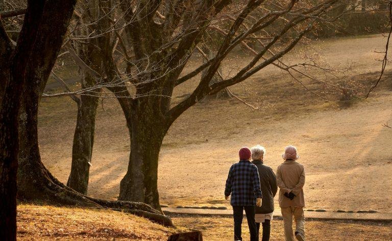 Three seniors walking through a serene autumn park with bare trees and soft sunlight.