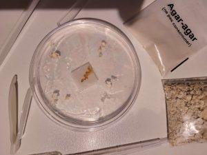 02_BLOB A 20260105_172540 (web)