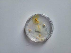 03_BLOB B 20260106_085356 (web)