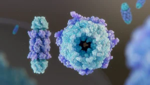 plasmare la scienza