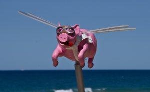 pig, flying, sculpture, blue sky, art, animal, pink, nature, cartoon, wings, goggles, model, contemporary, modern, blue, sea, sky, australia, exhibition
