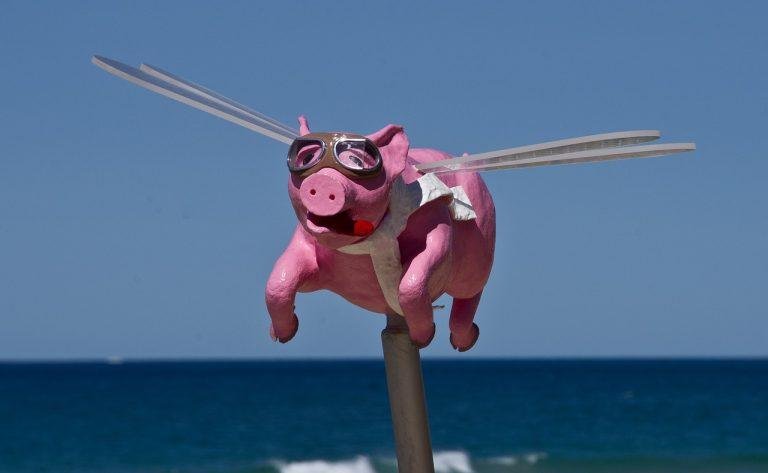 pig, flying, sculpture, blue sky, art, animal, pink, nature, cartoon, wings, goggles, model, contemporary, modern, blue, sea, sky, australia, exhibition