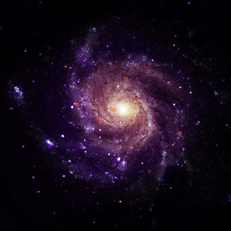 m101_labeled